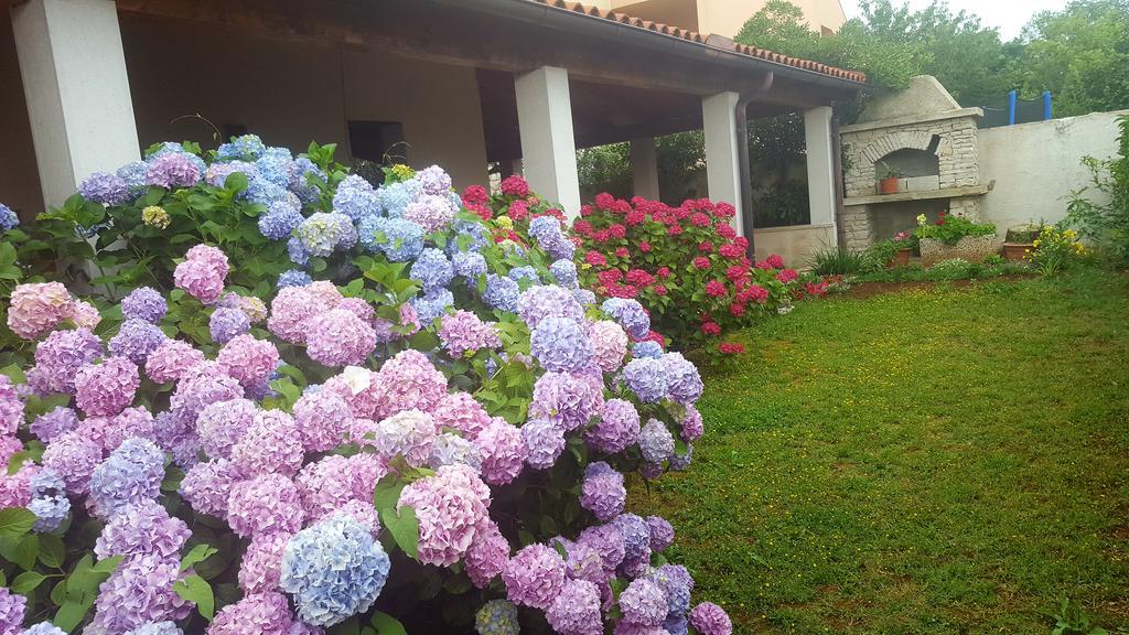 Bed & Breakfast Banjole Exterior photo